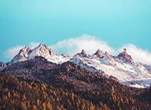 乐鱼体育-状元维金斯最后救赎机会！没汤神能否成库里绝配？